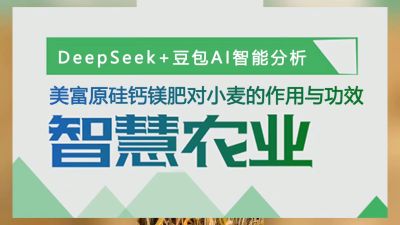 老铁们，马上准备冬小麦种植肥料了，我们用AI智慧农业分析了，美富原，叶碳酶乳酸肽活性硅，中药提取物加矿源，加枯草芽孢杆菌和胶冻样类芽孢杆菌的，中微量元素肥料硅钙镁肥，对小麦提质增产作用功效做分析，大家