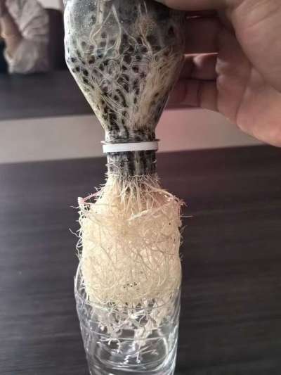 年销售量三十万吨的有机肥生产厂家，全国网点发货，资质齐全，正品保障！有机肥、生物菌肥、微生物肥料等