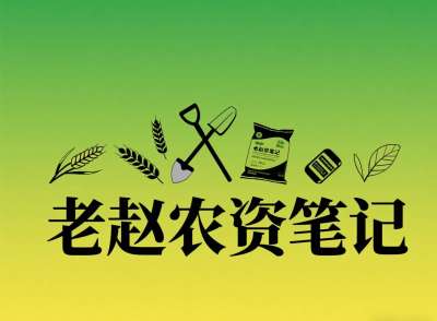 乡镇农资店对接厂家：不是否定代理，是找对&ldquo;有前景的小厂&rdquo;补增量