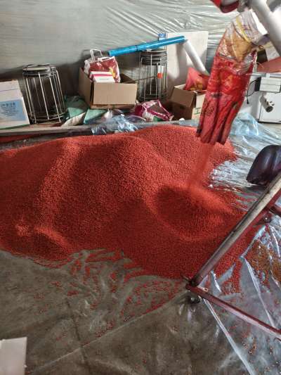 四冠包衣拌种，防虫防病壮苗增产。