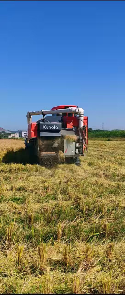惠州基地，无人拖拉机收水稻了。