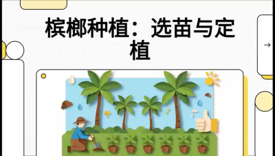 第01节：选苗与定植&mdash;&mdash;&ldquo;苗好一半收，底肥定千秋&rdquo;课程：《槟榔种植：从不懂到精通的10堂必修课》
