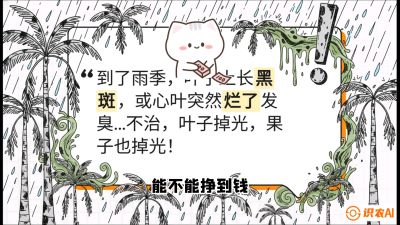 第05节：常见真菌病害&mdash;&mdash;&ldquo;炭疽与烂心，早防值千金&rdquo;《槟榔种植：从不懂到精通的10堂必修课》