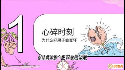 第08节：微量元素与保果&mdash;&mdash;&ldquo;补硼又补钙，果子不裂坏&rdquo;《槟榔种植：从不懂到精通的10堂必修课》