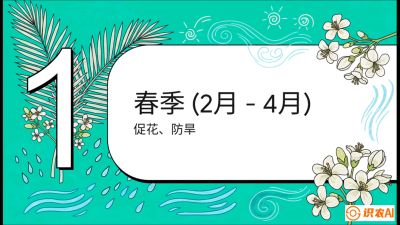 第10节：周年农事日历&mdash;&mdash;&ldquo;跟着节气走，丰产在手头&rdquo;《槟榔种植：从不懂到精通的10堂必修课》
