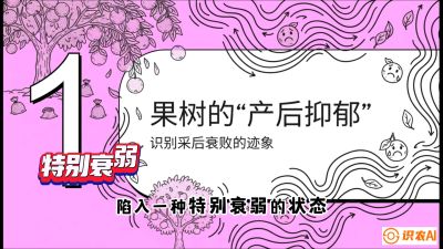第2节：【冬肥策略】采后&ldquo;月子肥&rdquo;：大小年的精准干预术，课程：《柑橘底肥&ldquo;翻身账&rdquo;：从改土到高产的实战全书》