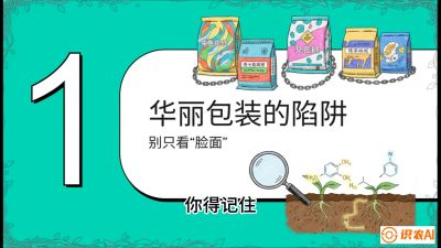 第4节：【黄金配方】底肥里的&ldquo;铁三角&rdquo;与&ldquo;微量雷区&rdquo;课程：《柑橘底肥&ldquo;翻身账&rdquo;：从改土到高产的实战全书》
