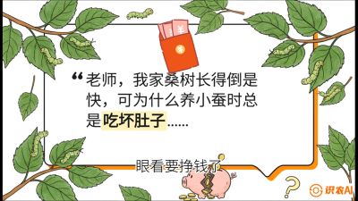 第01节：不仅仅是树&mdash;&mdash;顶级品种选配策略，课程：《桑海淘金：桑树高产与蚕桑安全进阶实战课》