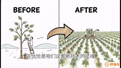 第02节：把树变成草&mdash;&mdash;&ldquo;草本化密植&rdquo;技术，课程：《桑海淘金：桑树高产与蚕桑安全进阶实战课》