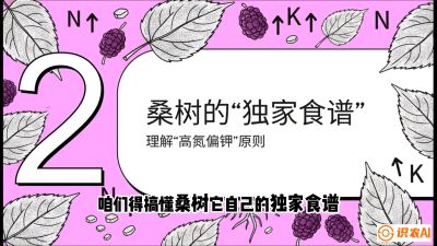 第04节：地下核动力&mdash;&mdash;桑树专用水肥一体化配方，课程：《桑海淘金：桑树高产与蚕桑安全进阶实战课》