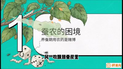 第06节：虫口夺叶（上）&mdash;&mdash;物理与生物防控绝技，课程《桑海淘金：桑树高产与蚕桑安全进阶实战课》