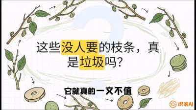 第12节：变废为宝&mdash;&mdash;循环农业实操，课程：《桑海淘金：桑树高产与蚕桑安全进阶实战课》