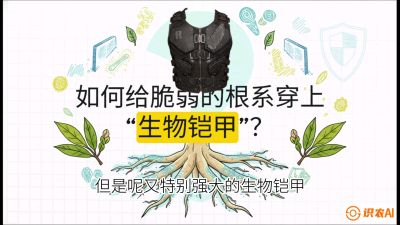 第三节：国产榴莲突围战：根系堡垒，菌根微生态构建与黄金定植窗口，课程：《国产榴莲突围战：从泰国经验到中国实操的8堂必修课（高阶实战版）》