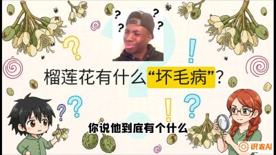 第六节：榴莲的午夜战事，夜间授粉战与花果期避雨策略，课程：《国产榴莲突围战：从泰国经验到中国实操的8堂必修课（高阶实战版）》