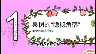 第3节：无人机专治&ldquo;打不透&rdquo;&mdash;&mdash;果树与高杆作物的穿透技巧，课程：《无人机植保搞钱必修课：从&ldquo;瞎飞&rdquo;到&ldquo;懂行&rdquo;的6步进阶》