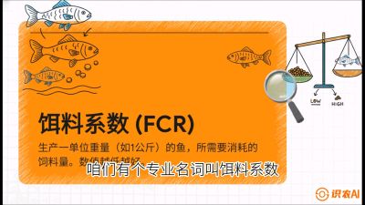第五节：【高端单品&middot;鳜鱼】&ldquo;饲料鳜&rdquo;技术：打破吃活饵的高成本魔咒，课程：《黄金鳞甲：2025中国淡水鱼高效养殖实战营》