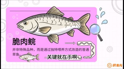 第六节：【老品升级&middot;脆肉鲩】如何让草鱼身价翻倍？，课程：《黄金鳞甲：2025中国淡水鱼高效养殖实战营》
