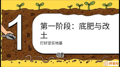 第6节（统筹篇）： 省钱又增产的&ldquo;黄金配比&rdquo;&mdash;&mdash;不同作物全年的养土实操方案，课程：《揭秘土壤的秘密：让土地帮你赚钱》#识农AI