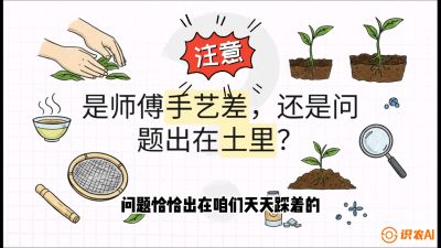 第02节（土肥篇）：告别&ldquo;苦涩水味&rdquo;：揭秘&ldquo;碳氮比&rdquo;调控术，种出自带兰花香的好茶底，课程：《茶金时代：从&ldquo;看天吃饭&rdquo;到&ldquo;精准控局&rdquo;的茶叶高产提质实战课》