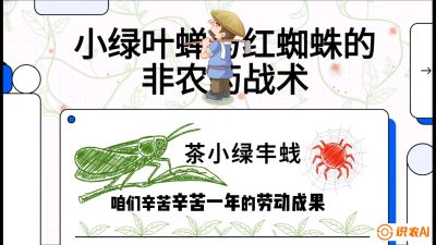 第03节（虫害篇）：看不见的吸血鬼：小绿叶蝉与红蜘蛛的&ldquo;非农药&rdquo;团灭战术（抗性治理），课程：《茶金时代：从&ldquo;看天吃饭&rdquo;到&ldquo;精准控局&rdquo;的茶叶高产提质实战课》
