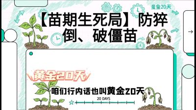第2节：【苗期生死局】防猝倒、破僵苗，决定后期产量的&ldquo;黄金20天&rdquo;，课程：《辣椒种植实战特训营，从工业辣椒到精品小米辣，教你如何把&ldquo;草&rdquo;种成&ldquo;金&rdquo;》