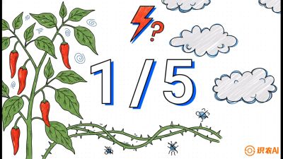 第6节：【花果爆发术】落花落果的五大元凶，与&ldquo;三喷一保&rdquo;坐果黑科技，课程：《辣椒种植实战特训营，从工业辣椒到精品小米辣，教你如何把&ldquo;草&rdquo;种成&ldquo;金&rdquo;》