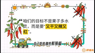 第7节：【工业辣椒专场】追求极致辣度！干物质提升与机械化采收的&ldquo;催红秘籍&rdquo;，课程：《辣椒种植实战特训营，从工业辣椒到精品小米辣，教你如何把&ldquo;草&rdquo;种成&ldquo;金&rdquo;》