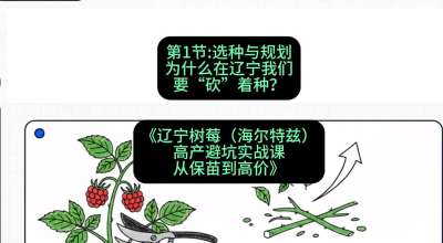 第一节： 选种与规划&mdash;&mdash;为什么在辽宁我们要&ldquo;砍&rdquo;着种？，课程：《辽宁树莓（海尔特兹）高产避坑实战课：从保苗到高价》