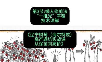 第三节： 懒人修剪法&mdash;&mdash;&ldquo;一推光&rdquo;平茬技术详解，课程：《辽宁树莓（海尔特兹）高产避坑实战课：从保苗到高价》