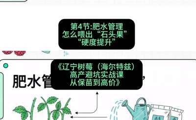 第四节： 肥水管理&mdash;&mdash;怎么喂出&ldquo;石头果&rdquo;（硬度提升），课程：《辽宁树莓（海尔特兹）高产避坑实战课：从保苗到高价》