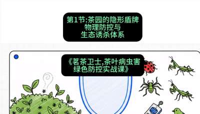 第01节：茶园的&ldquo;隐形盾牌&rdquo;&mdash;&mdash;物理防控与生态诱杀体系，课程：《茗茶卫士&mdash;&mdash;茶叶病虫害绿色防控实战课》#识农AI