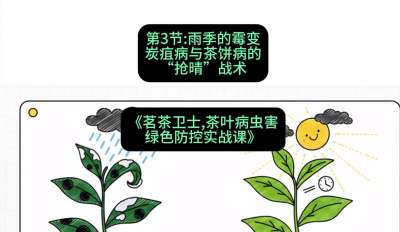 第03节：雨季的霉变&mdash;&mdash;炭疽病与茶饼病的&ldquo;抢晴&rdquo;战术，课程：《茗茶卫士&mdash;&mdash;茶叶病虫害绿色防控实战课》#识农AI