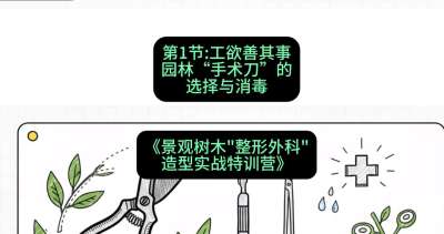 第01节：工欲善其事&mdash;&mdash;园林&ldquo;手术刀&rdquo;的选择与消毒，课程：《景观树木&ldquo;整形外科&rdquo;造型实战特训营》#识农AI