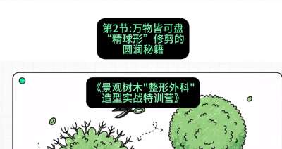 第02节：万物皆可盘&mdash;&mdash;&ldquo;精球形&rdquo;修剪的圆润秘籍，课程：《景观树木&ldquo;整形外科&rdquo;造型实战特训营》#识农AI