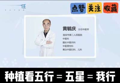 中药材淫羊藿怎么种？听专家一次讲明白！不挑地块好管理，耐寒耐旱省心省力，新手也能轻松上手，药用价值高、市场需求稳，妥妥的增收好品种～ 从生长习性到采收要点，干货满满无废话，种植疑问直接问，一对一答疑解