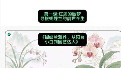 第一节：庄周的幽梦：寻根蝴蝶兰的前世今生，课程：《蝴蝶兰雅养六讲：从阳台小白到园艺达人》#识农AI