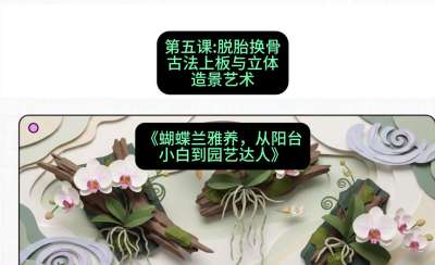 第五节：脱胎换骨：古法上板与立体造景艺术，课程：《蝴蝶兰雅养六讲：从阳台小白到园艺达人》#识农AI