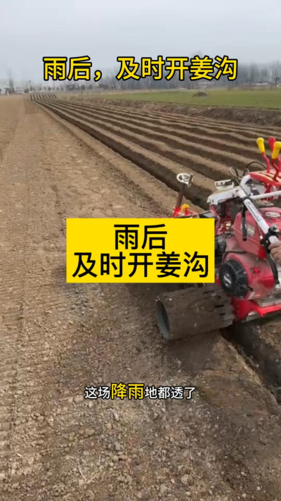 雨后，及时开姜沟！