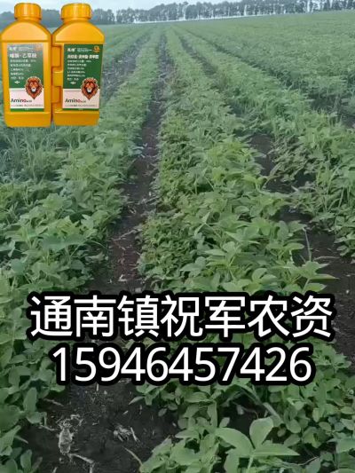 大豆苗前封闭，可封红根苋菜，灰菜，兰花菜，野豆子，捞豆秧等恶性杂草，封杀兼备的高端产品。