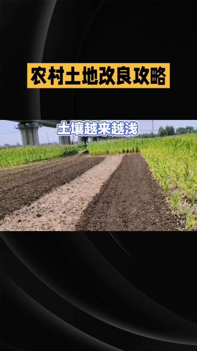 1. 先搞懂：你到底要改良哪块地、种什么
 
- 土土土在哪里？
就是你自家农田、菜地、果园，哪块地想种庄稼，就测哪块地的土。
​
- 有水没有水？
有水能浇：改良更省事，施肥、调酸碱都好操作。
没水