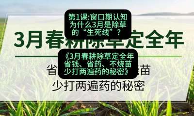 第1节：窗口期认知，为什么3月是除草的&ldquo;生死线&rdquo;？，课程：《3月春耕除草定全年：省钱、省药、不烧苗、少打两遍药的秘密》