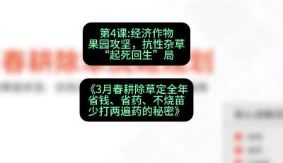 第4节：经济作物果园攻坚，抗性杂草&ldquo;起死回生&rdquo;局，课程：《3月春耕除草定全年：省钱、省药、不烧苗、少打两遍药的秘密》