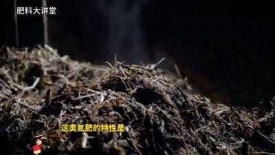 氮肥的分类及合理施用原则